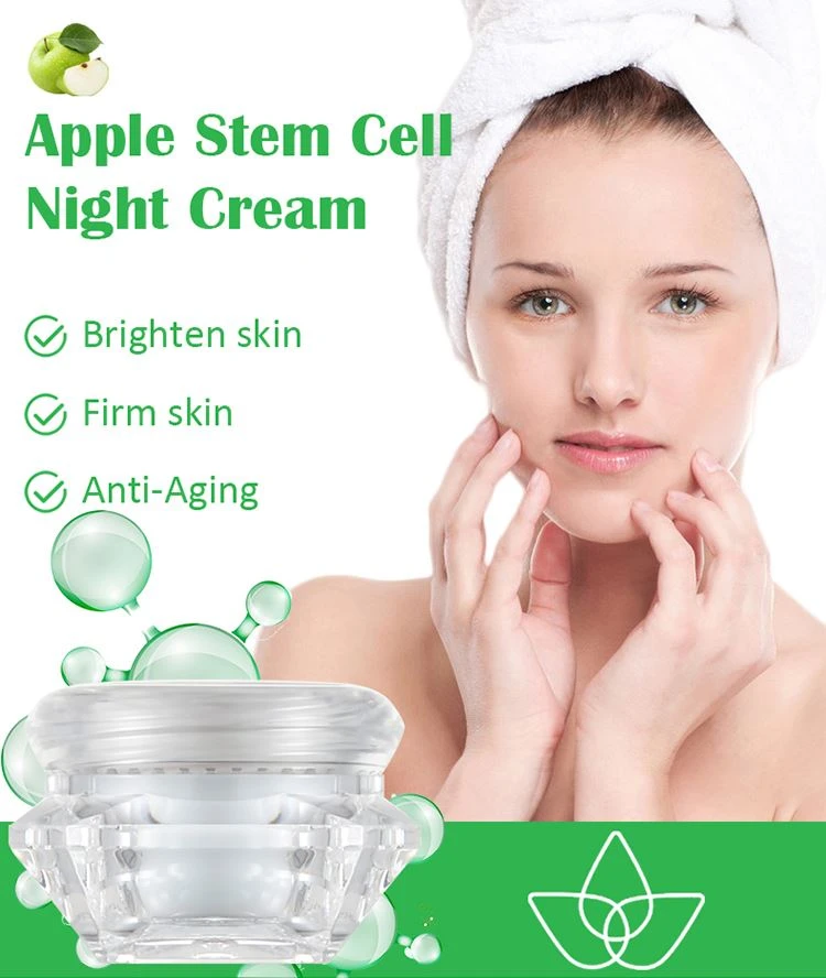 anti aging overnight cream anti aging overnight cream